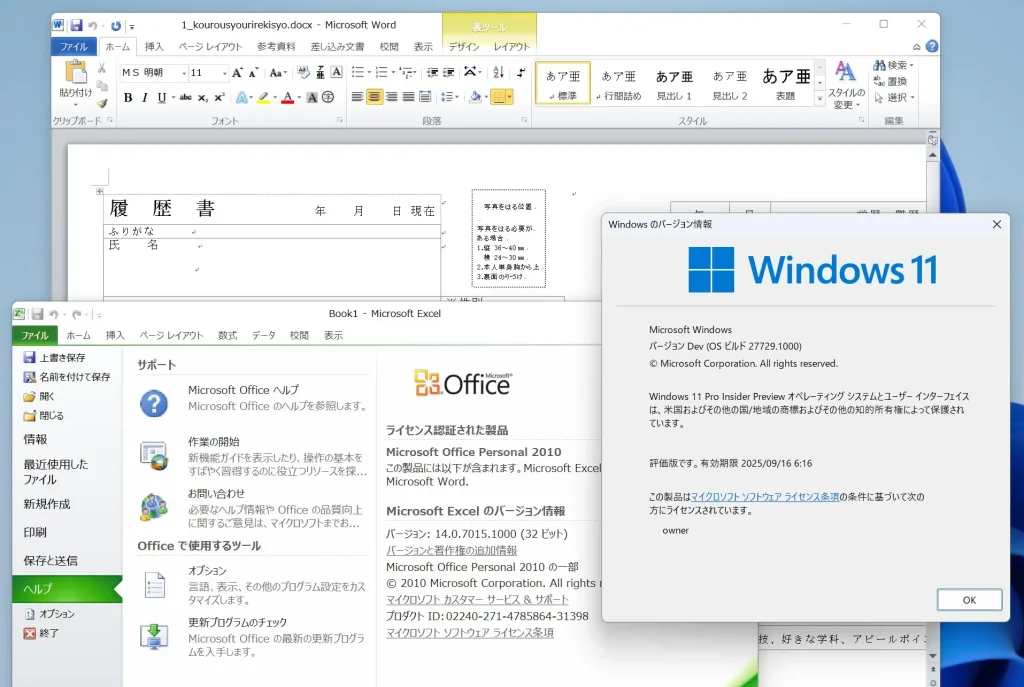 Windows11でOffice2010を実行している画面