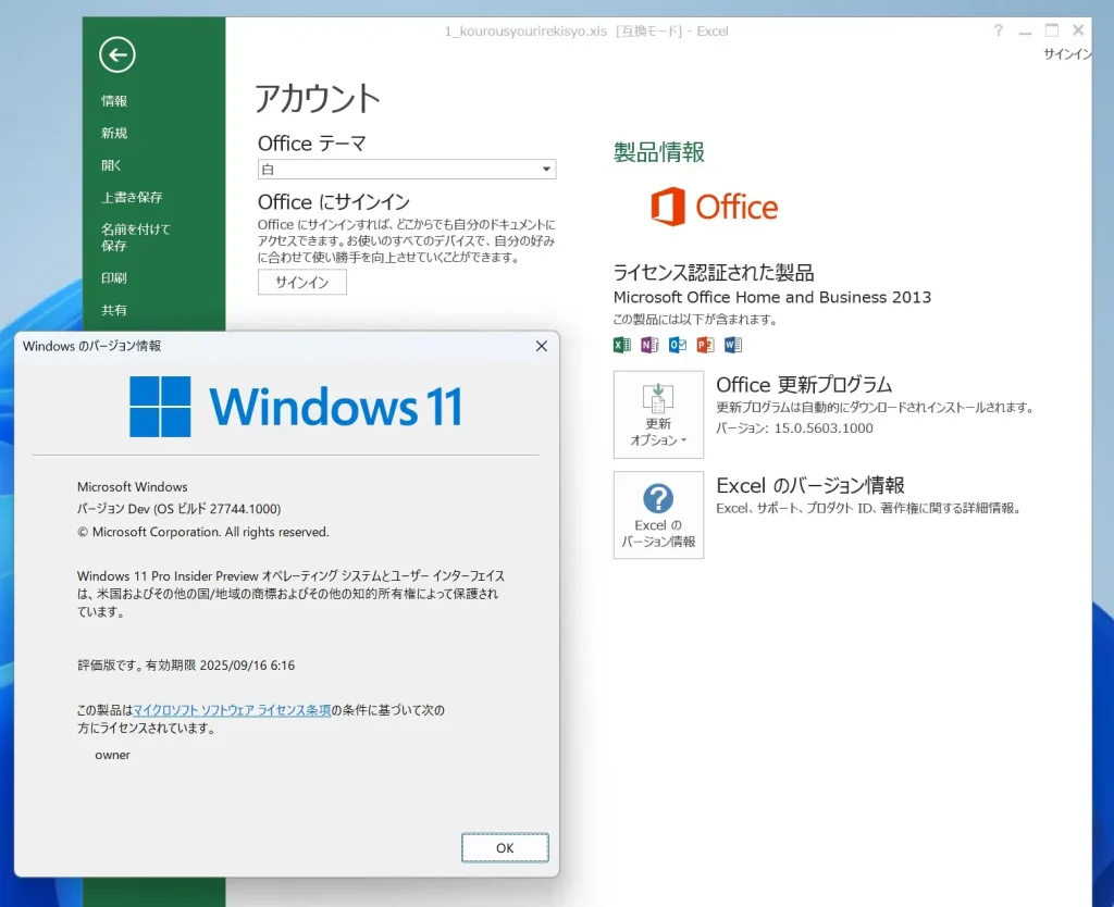 Windows11 24H2でOffice2013 Excelバージョン15.0.5571.1000を起動