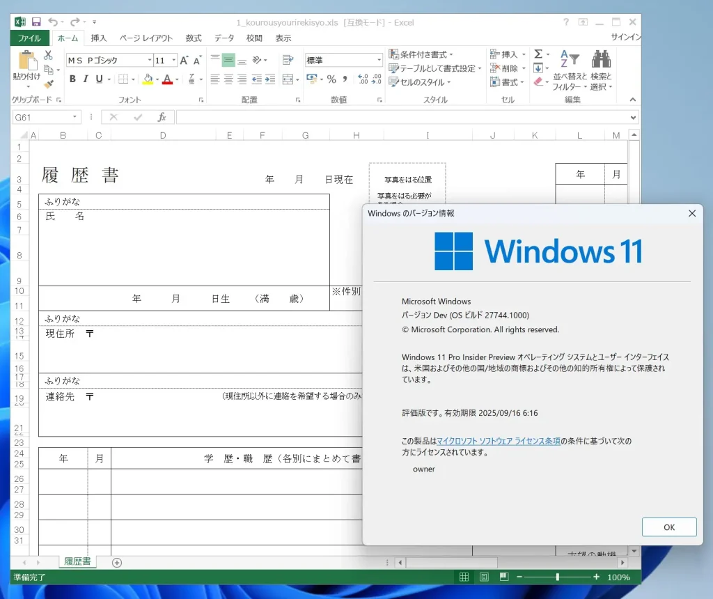 Windows11 24H2でOffice2013 Excelバージョン15.0.5571.1000を起動