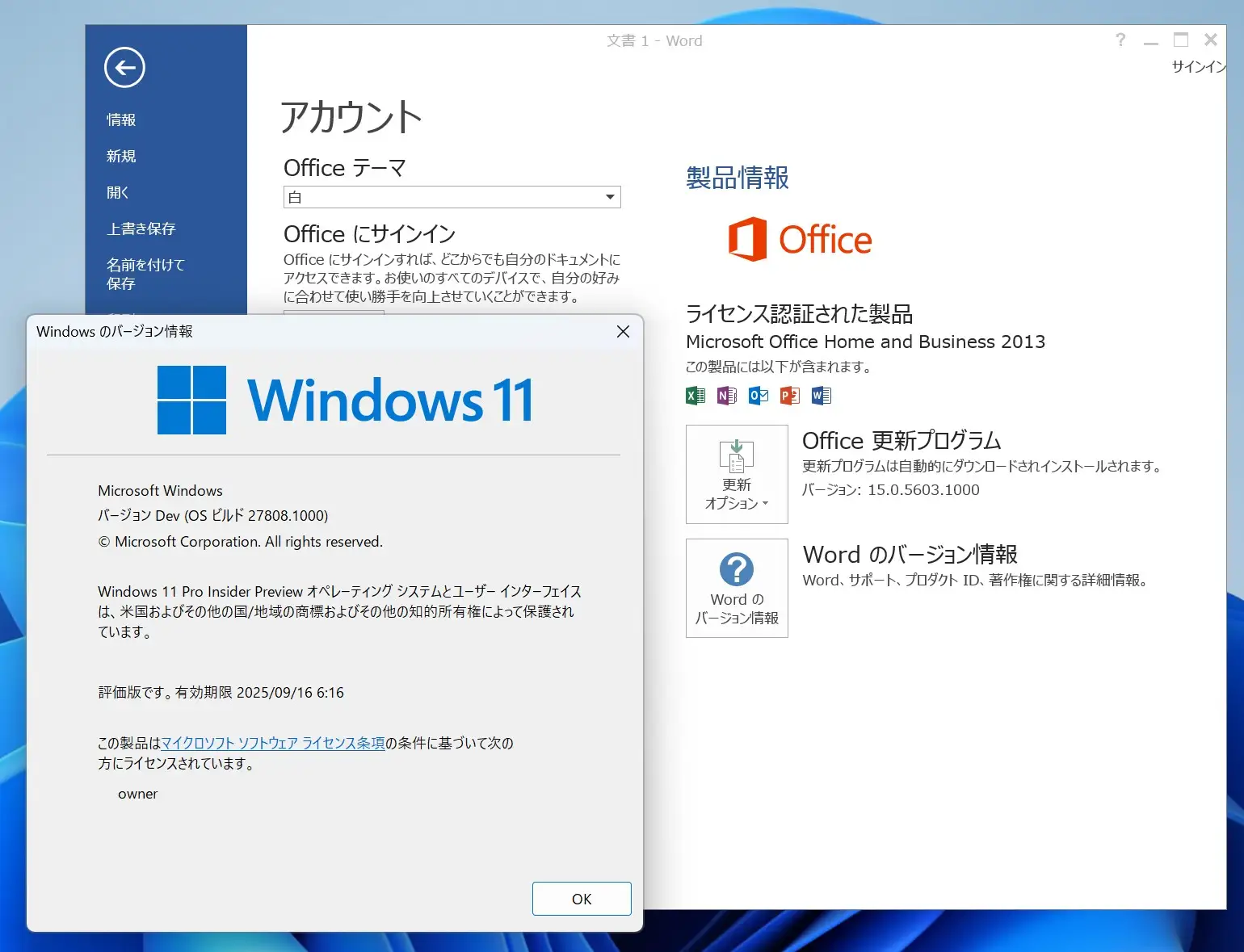 Windows11とOffice2013のバージョン情報