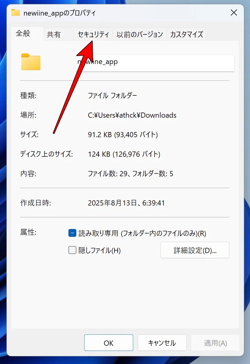 windows11 アクセス拒否されるディスクドライブのセキュリティの詳細設定を開く